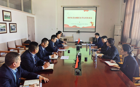 標題：銷(xiāo)售黨支部召開(kāi)組織生活會(huì )暨民主評議黨員會(huì )議
瀏覽次數：644
發(fā)表時(shí)間：2025-02-26