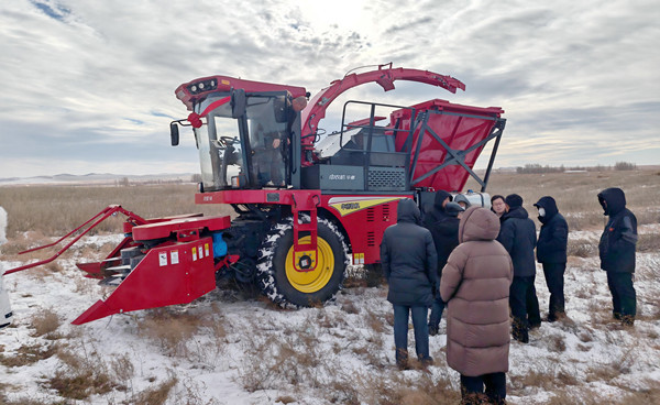 標(biāo)題:中央財(cái)政林草科技推廣項(xiàng)目設(shè)備交付 檸條收獲機(jī)落地賦能沙地生態(tài)治理
瀏覽次數(shù):198
發(fā)表時(shí)間:2025-12-12